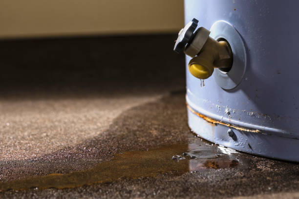 Best Basement water damage restoration  in Suncook, NH