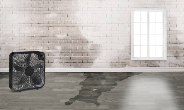 Best Water damage restoration near me  in Suncook, NH